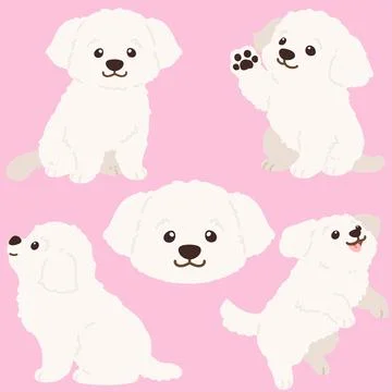 Flat colored simple and adorable white Maltese dog illustrations Stock Illustration