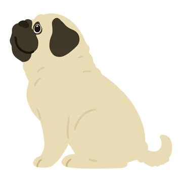 Flat colored simple and cute pug sitting in side view Stock Illustration