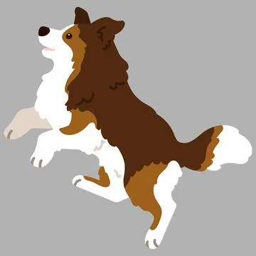 Flat colored simple Shetland Sheepdog jumping in side view Stock Illustration