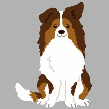 Flat colored simple Shetland Sheepdog sitting in front view Stock Illustration