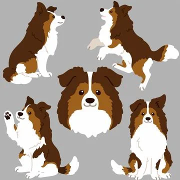 Flat colored simple Shetland Sheepdog illustrations Stock Illustration