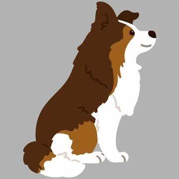 Flat colored simple Shetland Sheepdog sitting in side view Stock Illustration