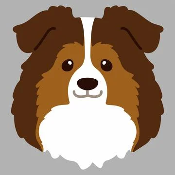 Flat colored simple Shetland Sheepdog front head Stock Illustration