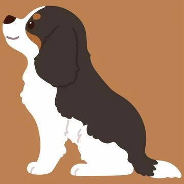 Flat colored tricolor Cavalier King Charles Spaniel sitting in side view Stock Illustration