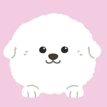 Flat colored white Bichon Frise front face with paws Stock Illustration