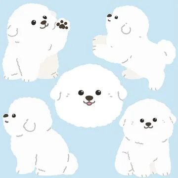 Flat colored white Bichon Frise illustrations set Stock Illustration