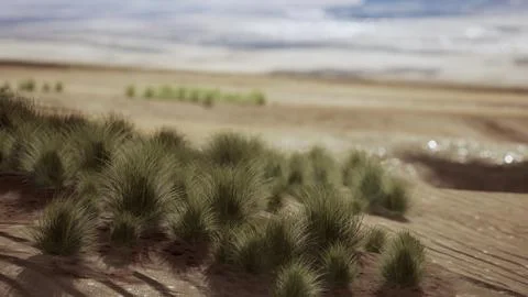 Flat desert with bush and grass イラスト素材