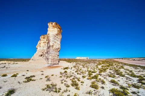 Flat desert of sand and yellow flowers with dirt road in desert and pillars of Foto stock