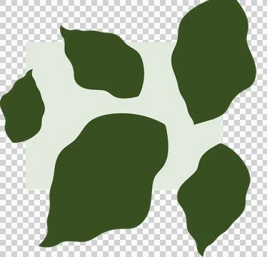 Flat design abstract leaf shapes are layering pale green rectangle, transparent 스톡 일러스트