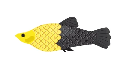 Flat Design Animated Fish Icon Swimming for App Interface and Graphic Resources Stock Footage 345931080