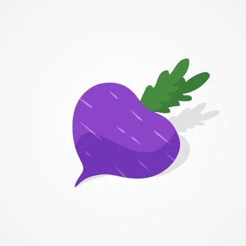 Flat design beetroot illustration on isolated background Stock Illustration