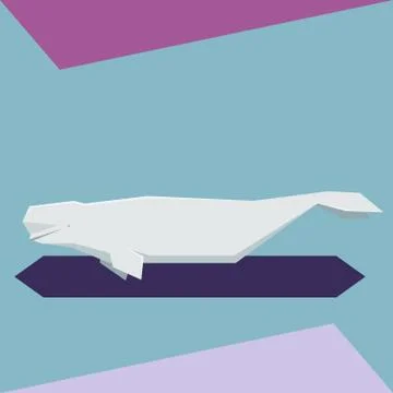 Flat design Beluga whale Stock Illustration