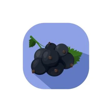 Flat design black currant Stock Illustration