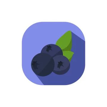 Flat design blueberries Stock Illustration