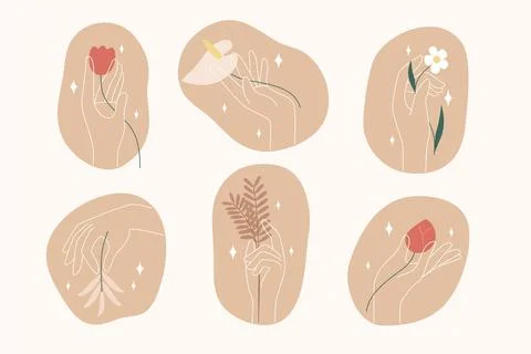 Flat design boho element collection 스톡 일러스트