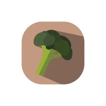 Flat design broccoli Stock Illustration