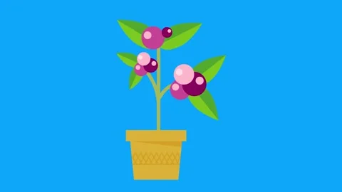 Flat Design Cartoon Plants Animation Stock Footage 155884162