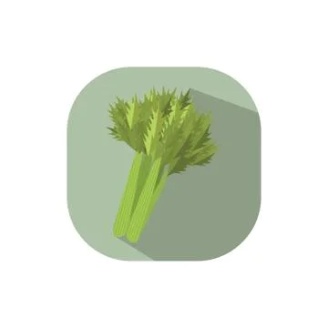 Flat design celery Stock Illustration