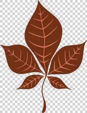 Flat design compound leaf is floating on transparent background, showing rich Stock Illustration
