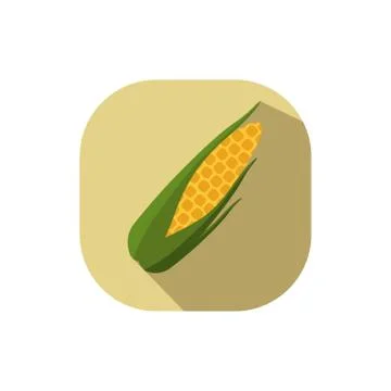 Flat design corn vector yellow background Stock Illustration
