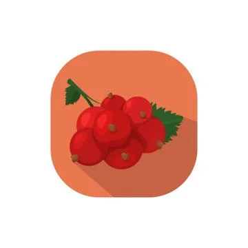 Flat design currant Stock Illustration