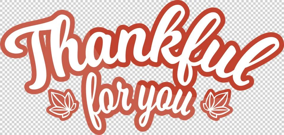 Flat design cursive text reading Thankful for you is floating on transparent 스톡 일러스트