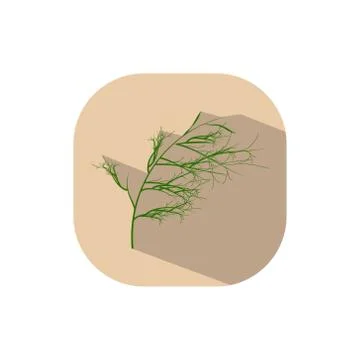 Flat design dill Stock Illustration