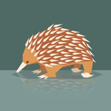 Flat design Echidna Stock Illustration
