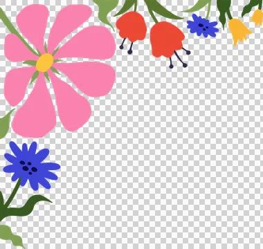 Flat design floral corner is showing on transparent background with pink daisy Stock Illustration