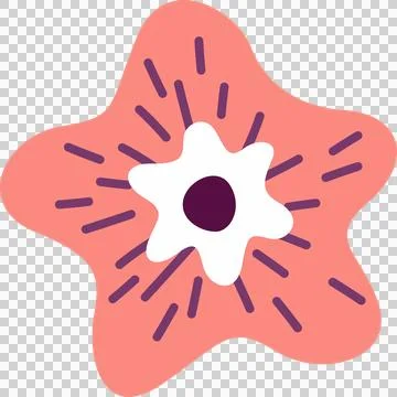 Flat design flower is forming on transparent background, coral-white petals, 库存插图