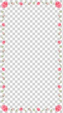 Flat design frame is showing pink roses, green leaves border on transparent Illustrazione stock