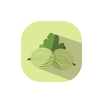 Flat design gooseberry Stock Illustration