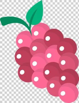 Flat-design grape cluster is showing pink red berries with green leaves on Stock Illustration