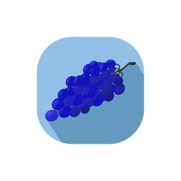 Flat design grapes Stock Illustration
