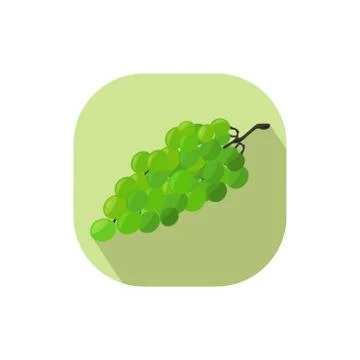 Flat design grapes Stock Illustration