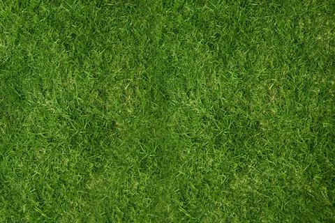 Flat design grass patch is showing top-down green blades with hue variations and Illustrazione stock