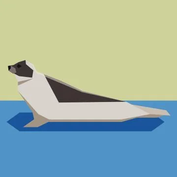 Flat design Harp seal Stock Illustration