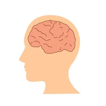 Flat design human brain in head icon vector illustration Stock Illustration