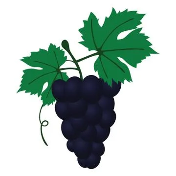 Flat design icon of Grape in ui colors. Stock Illustration