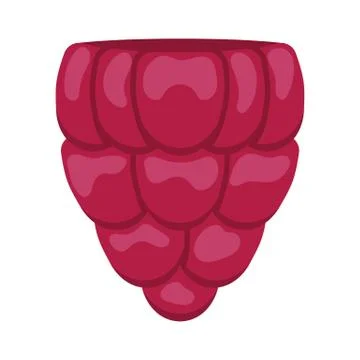 Flat design icon of Raspberry in ui colors. Illustrazione stock