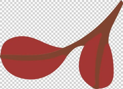 Flat design is illustrating brown forked branch bearing two red seed pods on Stock Illustration