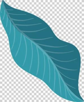 Flat design leaf illustration showing teal and turquoise sides with veins on Stock Illustration