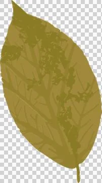 Flat design leaf is showcasing mustard yellow with veins and seed cluster on Stock Illustration