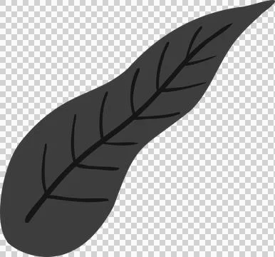Flat design leaf silhouette is floating on transparent background, featuring Stock Illustration