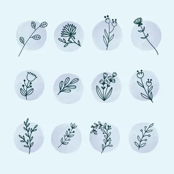 Flat design of linear leaves and flowers Stock Illustration