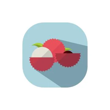Flat design lychee Stock Illustration