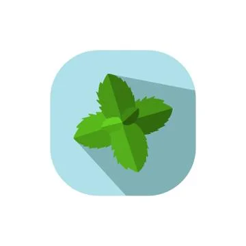 Flat design mint leaf Stock Illustration