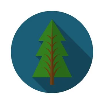 Flat design modern vector illustration of pine tree icon, with long shadow 스톡 일러스트