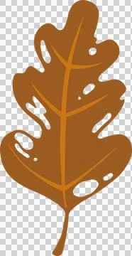 Flat design oak leaf is floating, featuring brown form with orange veins on Illustrazione stock