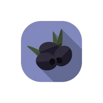Flat design olives Stock Illustration
